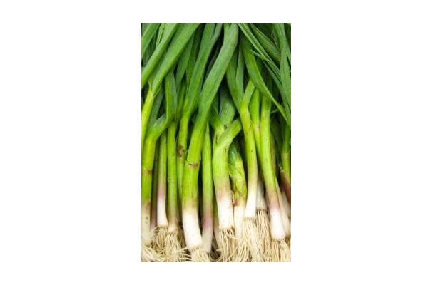 Food image for Green Garlic
