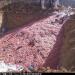 China Dumps Poisoned Pork in Landfill