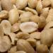 Food Allergies Cost $500 Million Annually