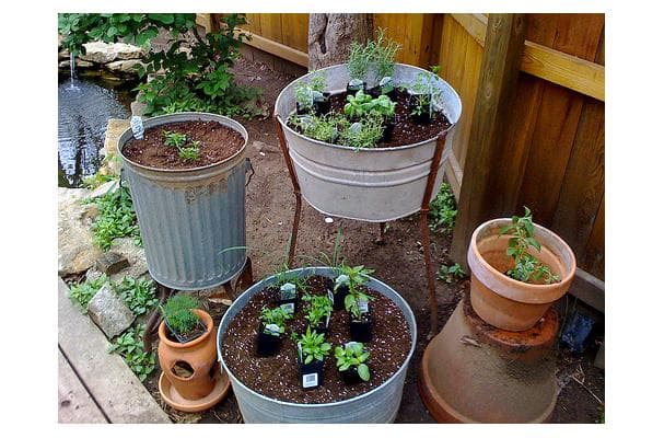 Food image for Stevia