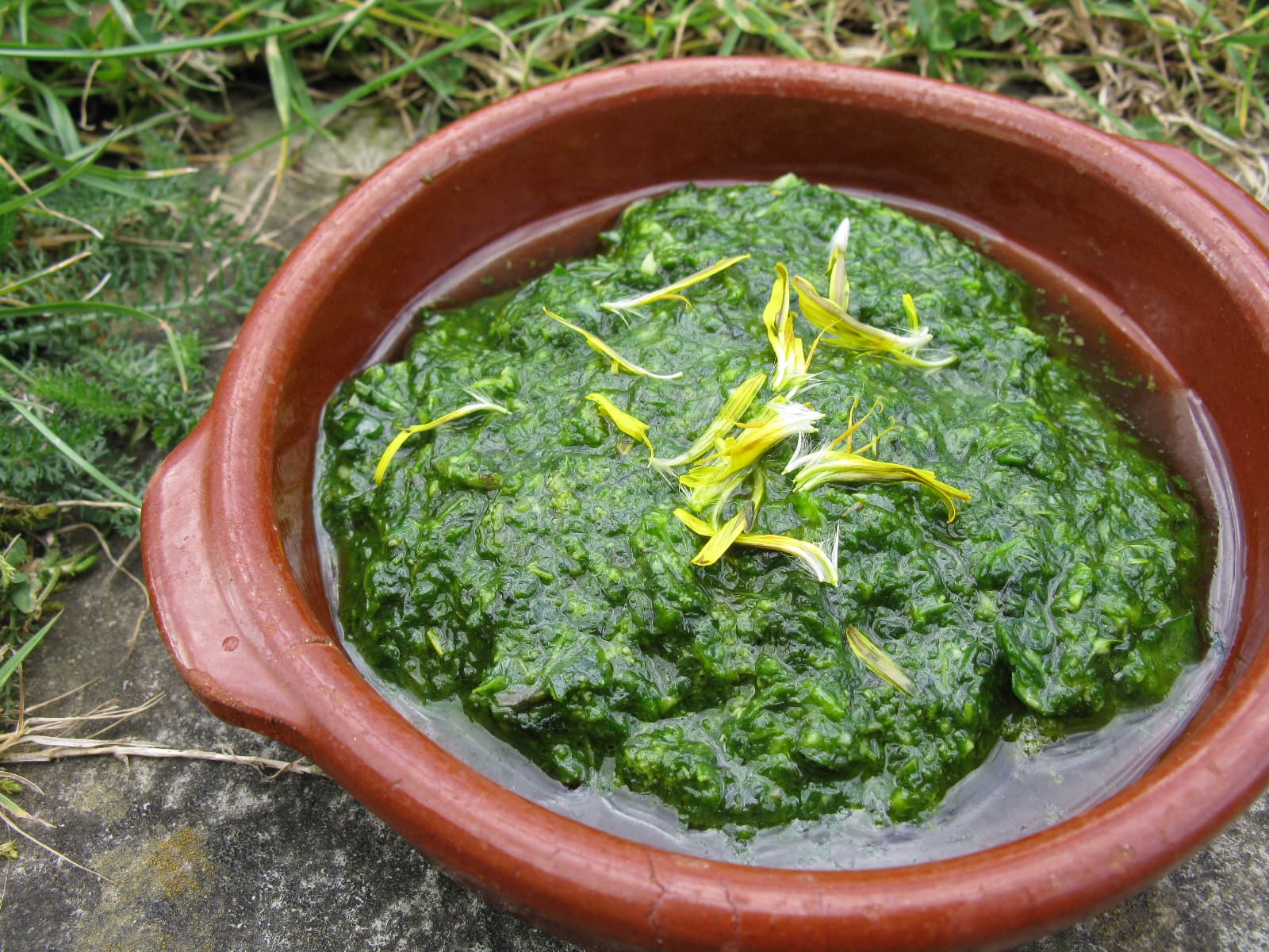Dandelion pesto