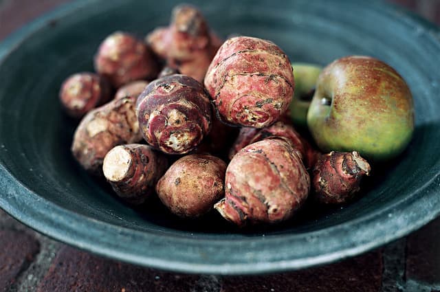 sunchokes Jerusalem Artichokes sunroot