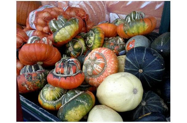 Food image for Winter Squash