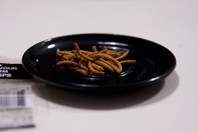 Could Insects Be The Next Food Revolution?