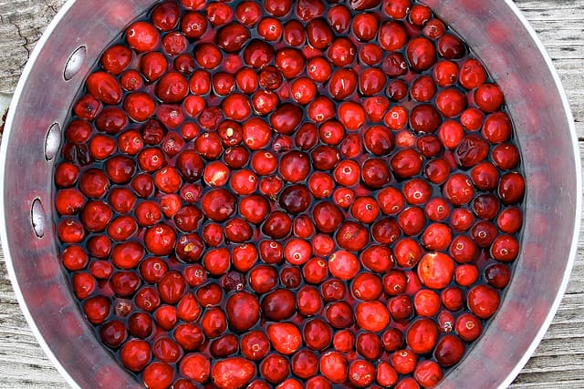 fresh cranberries ready to be turned into sauce!