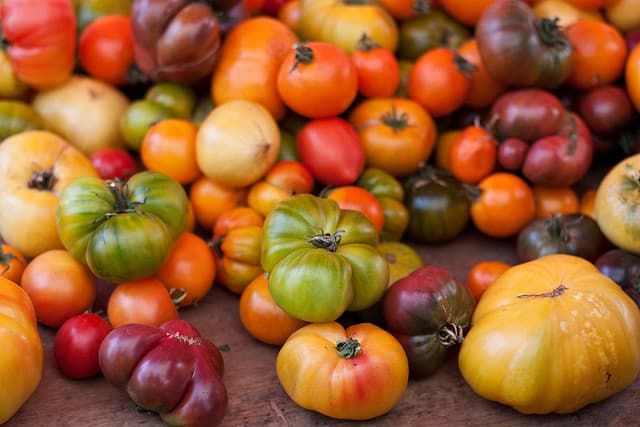 heirloom tomatoes
