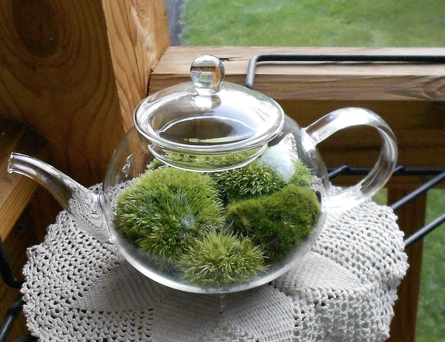 Teapot Terrarium