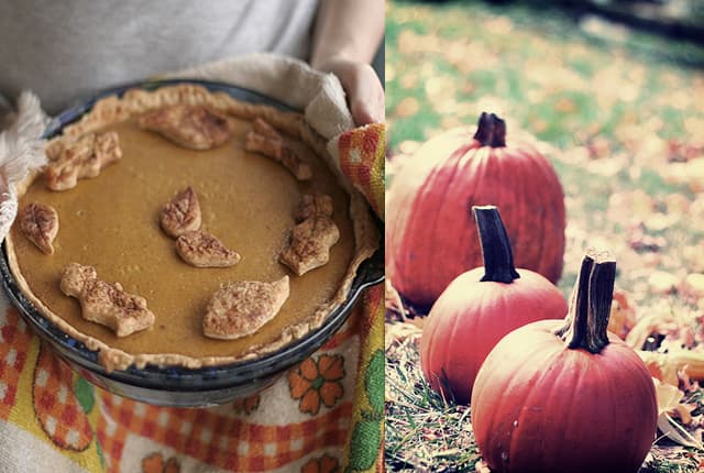 pumpkin pie