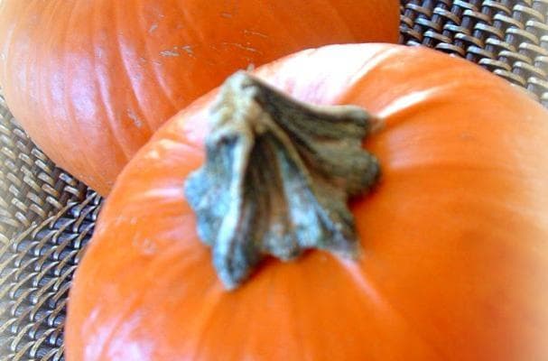 Just For Fun: 5 Pumpkins and Not One Pie