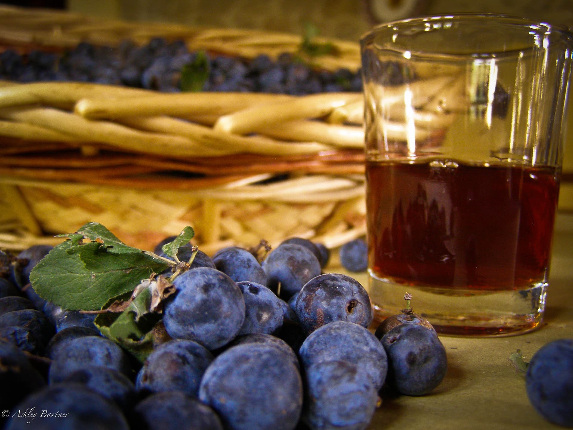 Sloe Gin of Italy: Prugnolino