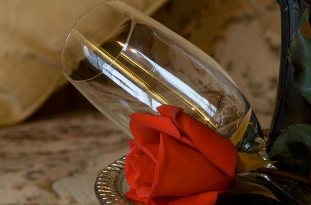 Champagne Glass and Rose