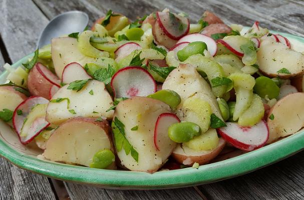 Red Potato Salad with Fava Beans and Radishes