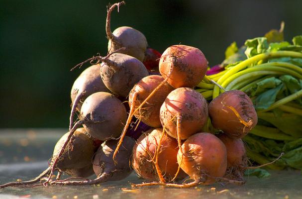 red and gold beets
