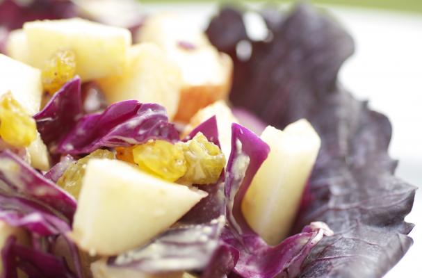 Red Cabbage Slaw with Apples Recipe