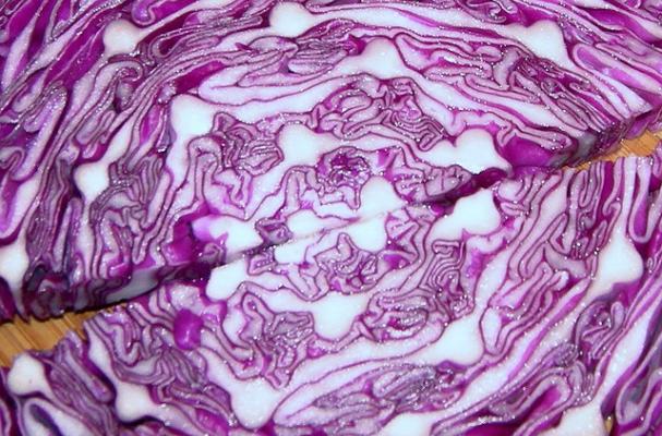 purple cabbage