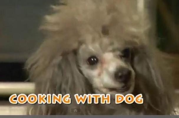 Cooking With Dog
