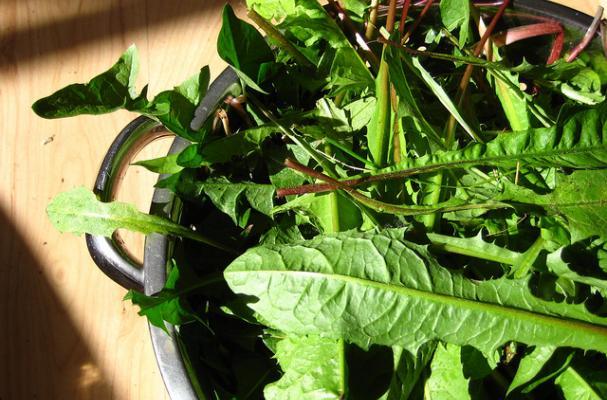 Sauteed Dandelion Greens