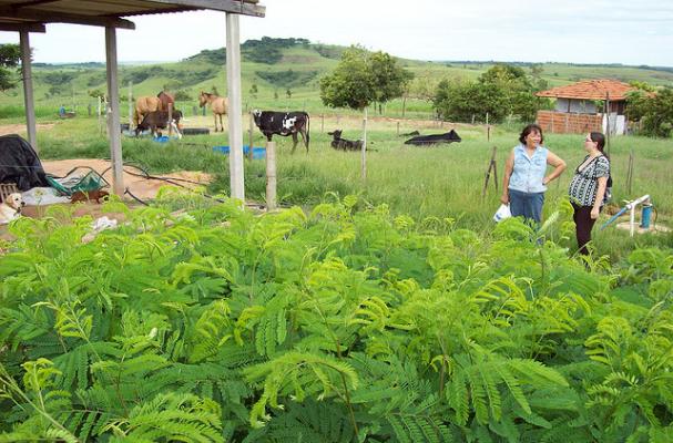 small farms