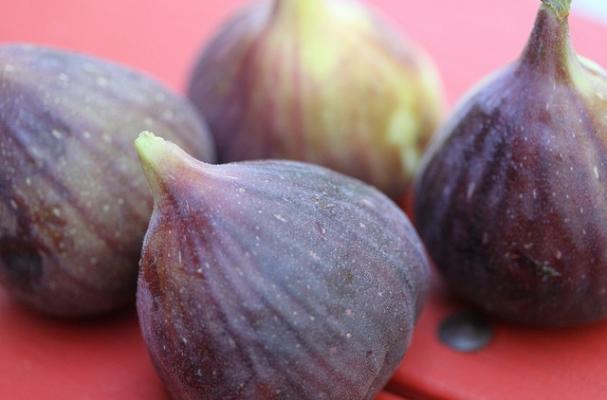 fig