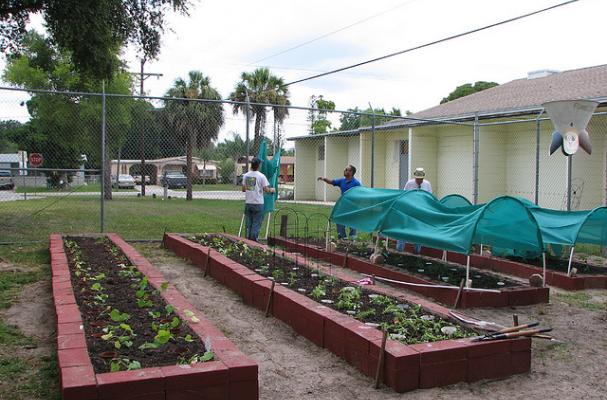 urban farm