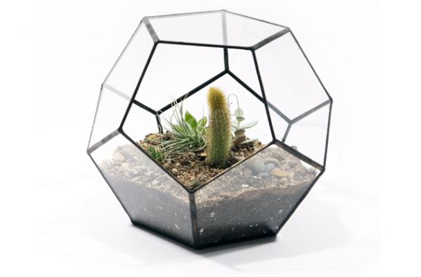 geodesic terrarium from Score + Solder