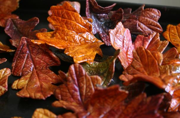 edible autumn leaves