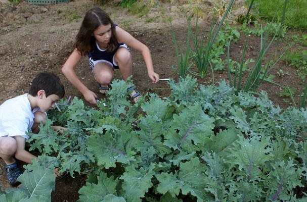 kids in garden