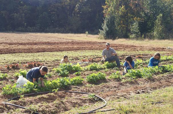 kids farming