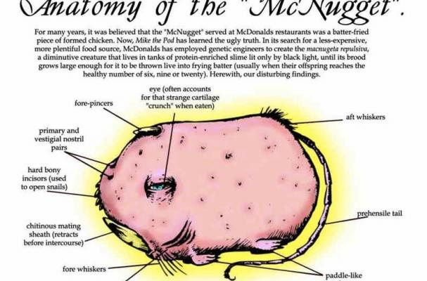 mcnugget anatomy infographic