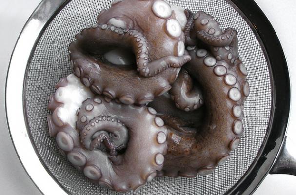 octopus and nebbiolo