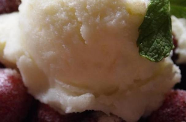 Lemon & Olive OIl Sorbet