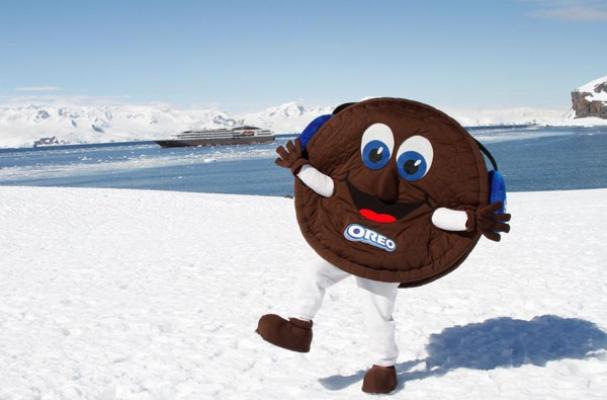 Oreo in Antarctica