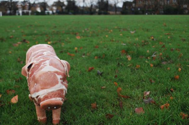 piglet bacon and sausages