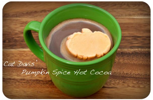 Cat Davis' Pumpkin Spice Hot Cocoa