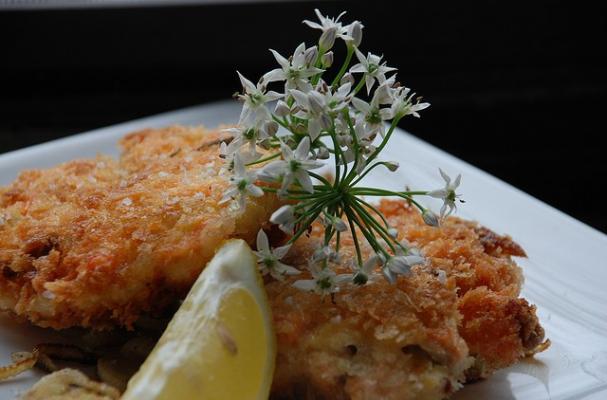 salmon cakes