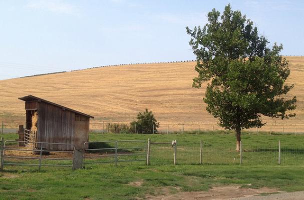 spring valley vineyard walla walla