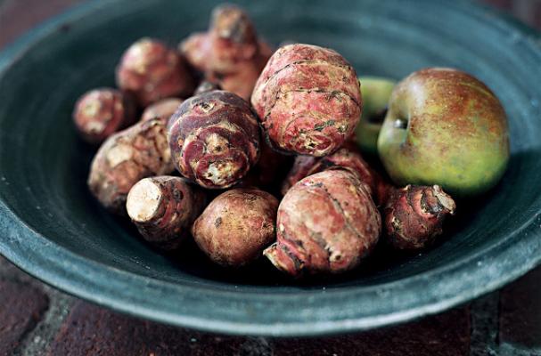 sunchokes Jerusalem Artichokes sunroot