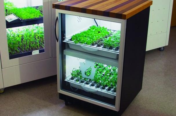 Urban Cultivator hydroponic growing system