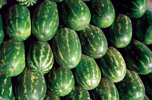 watermelons