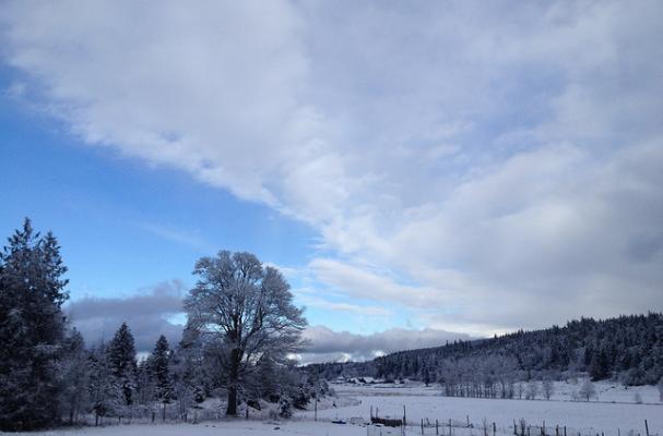 winter washington state organic farm