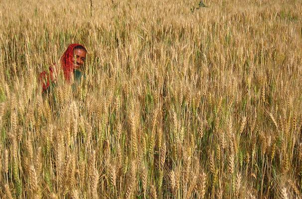 women farmer