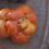 ugly tomatoes