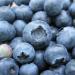 Blueberry Pie Gets a Healthy Makeover
