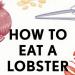 How to Eat a Lobster and Other Edible Enigmas Explained