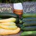 Summer Squash and Cucumber