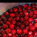 cranberries on their way to becoming sauce!