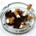 Edible Cigarette Butts