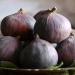 fresh figs