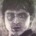 Art with Salt -- Harry Potter