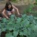 kids in garden